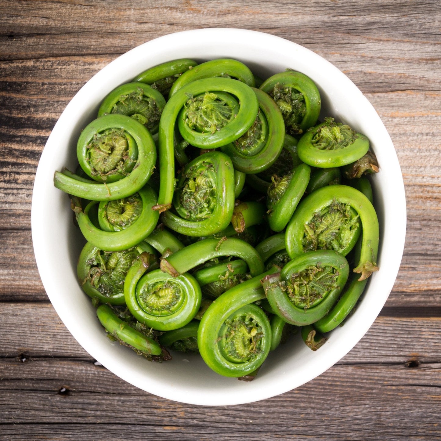 Fresh Maine Fiddleheads - 1 lb