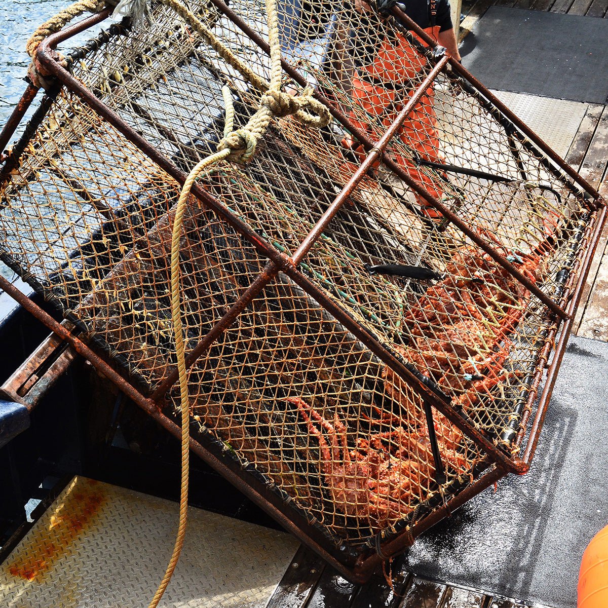 Super Colossal Red King Crab Legs