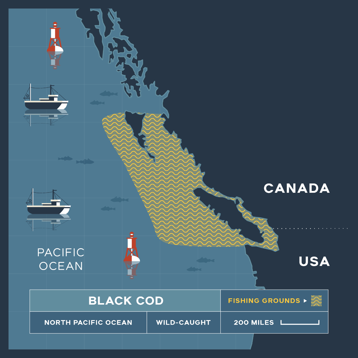 Wild-Caught Black Cod (Sablefish) - 1-1.25 lb Fillet