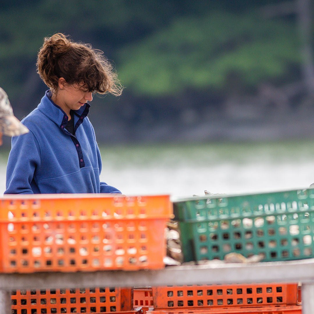 Fresh Maine Oysters