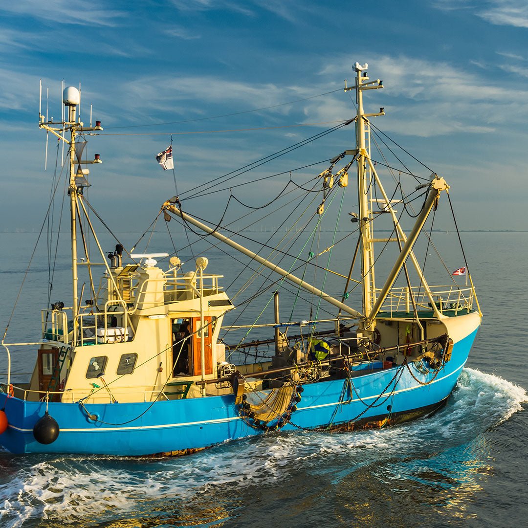 Cocktail Shrimp - 2 lbs